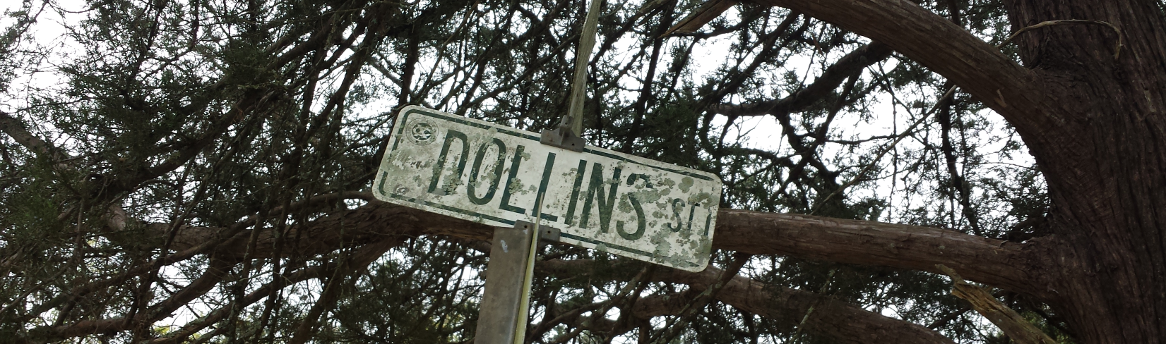 dollins_st2