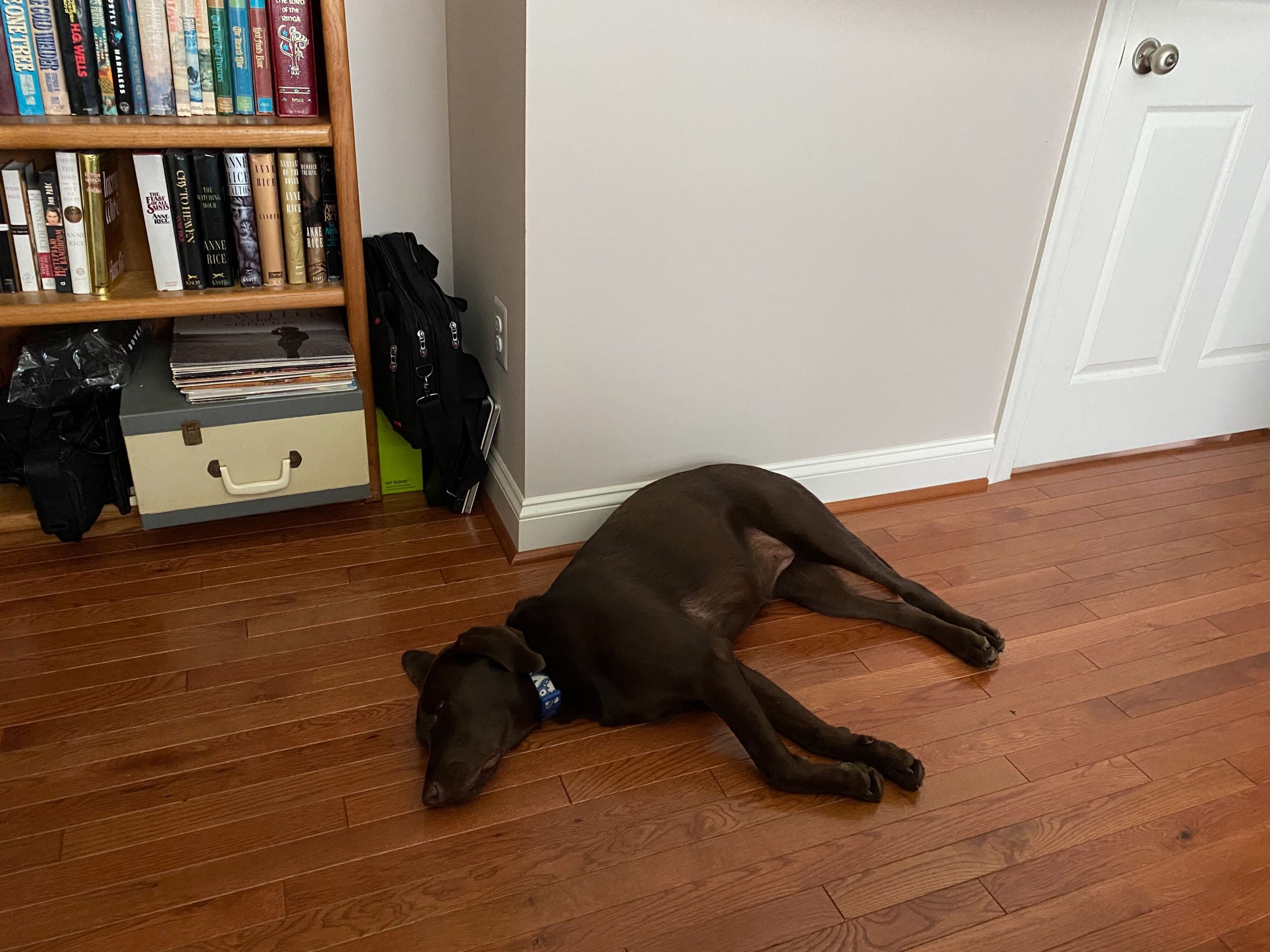 Tips For Your Best Zoom Experience – geoMusings